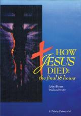 Ver Pelicula Cómo murió Jesús: las 18 horas finales Online