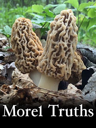 Pelicula Morel Truths: ¿Qué son los hongos Morel? (episodio 1) Online
