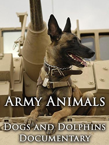 Pelicula Animales del ejército: Documental sobre perros y delfines. Online