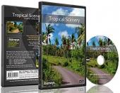Ver Pelicula Fitness Journeys - Tropical Scenery 1, para caminatas en interiores, caminadoras y ejercicios de ciclismo Online