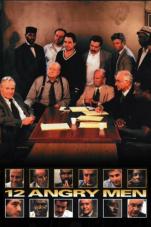 Ver Pelicula 12 hombres enojados (1997) Online