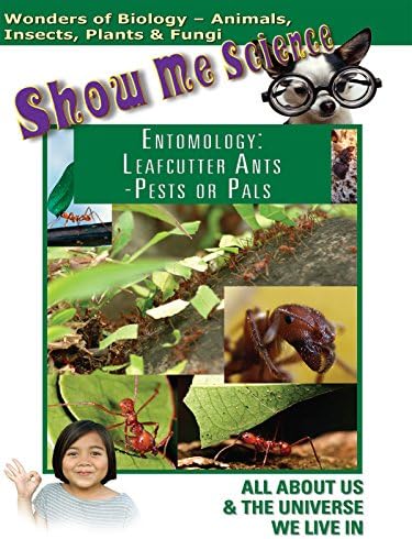 Pelicula Muéstrame Ciencia Biología - Entomología Cortadora de hojas Hormigas Plagas o amigos? Online