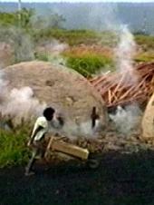 Ver Pelicula Fabricante de carbón de leña de Bahía Online