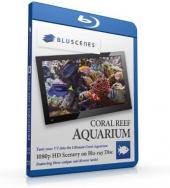 Ver Pelicula BluScenes: Disco de Blu-ray HD de 1080p HD para acuario de coral Online