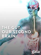 Ver Pelicula The Gut: Nuestro segundo cerebro Online