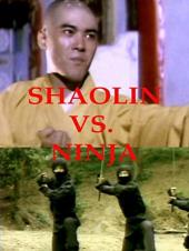 Ver Pelicula Shaolin vs. Ninja Online