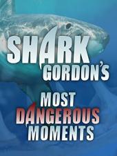 Ver Pelicula Los momentos más peligrosos de Shark Gordon Online