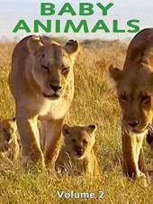 Ver Pelicula Bebé Animales: Volumen 2 Online