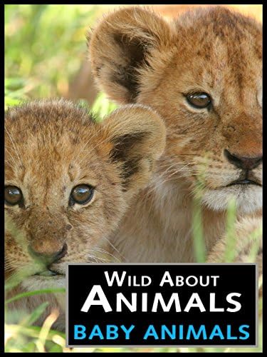Pelicula Salvaje por los animales: los animales bebés Online