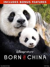 Ver Pelicula Disneynature: Nacido en China (con contenido extra) Online