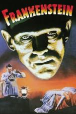 Ver Pelicula Frankenstein (1931) Online