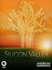 Ver Pelicula Experiencia americana en Silicon Valley Online