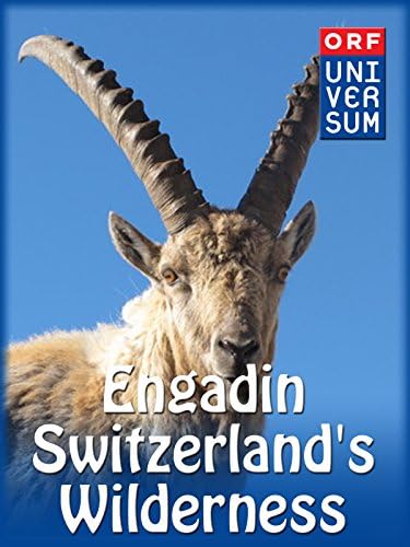 Pelicula Engadin - El desierto de Suiza Online