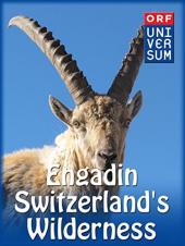 Ver Pelicula Engadin - El desierto de Suiza Online