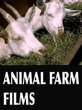Ver Pelicula Películas de animales de granja Online