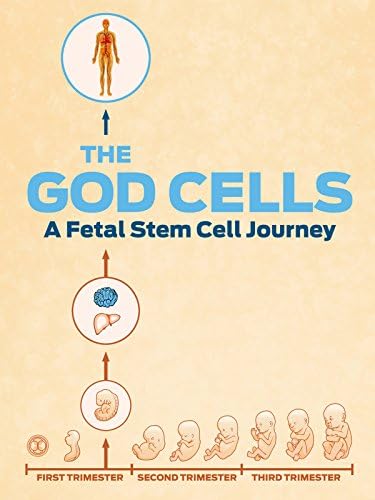 Pelicula Las células de Dios: un viaje de célula madre fetal Online