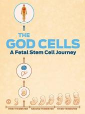 Ver Pelicula Las cÃ©lulas de Dios: un viaje de cÃ©lula madre fetal Online