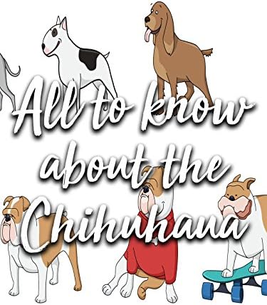 Pelicula Todo para saber sobre el chihuahua. Online