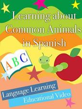 Ver Pelicula Aprendiendo sobre animales comunes en idioma espaÃ±ol Aprendiendo video educativo Online