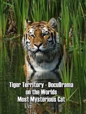 Ver Pelicula Territorio del tigre - DocuDrama sobre el gato más misterioso del mundo Online