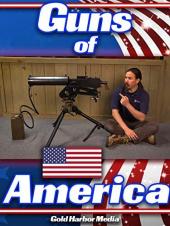 Ver Pelicula Guns of America Online