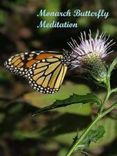 Ver Pelicula Meditación de la mariposa monarca Online