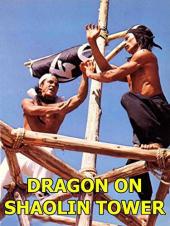 Ver Pelicula Dragón en la torre de Shaolin Online