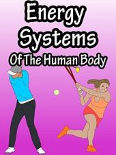 Ver Pelicula Sistemas de energía del cuerpo humano Online