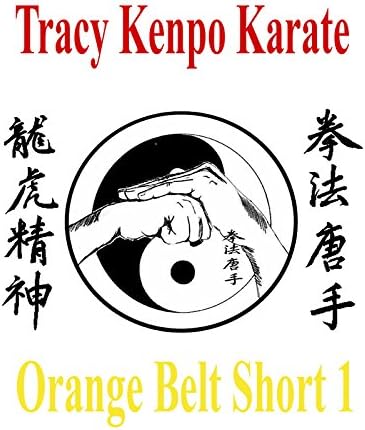 Pelicula Tracy Kenpo Karate: Cinturón Naranja Corto 1 Online