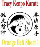 Ver Pelicula Tracy Kenpo Karate: Cinturón Naranja Corto 1 Online