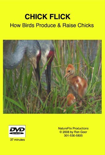 Pelicula Chick Flick: Cómo los pájaros producen y crían polluelos Online