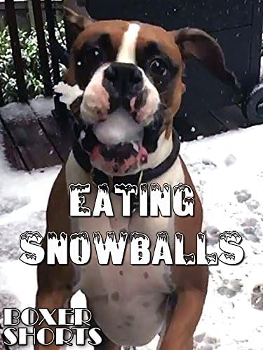 Pelicula Comiendo bolas de nieve Online