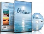 Ver Pelicula Beach DVD - Tranquilidad en el océano con escenas relajantes de playas con sonidos del mar y música Online