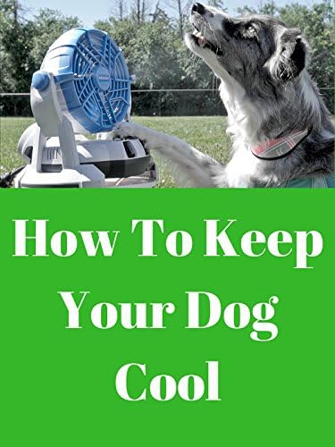 Pelicula Cómo mantener a tu perro fresco Online