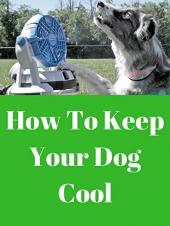 Ver Pelicula Cómo mantener a tu perro fresco Online