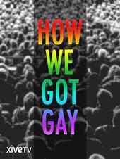 Ver Pelicula Cómo conseguimos gay Online