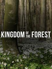 Ver Pelicula Reino de la selva Online