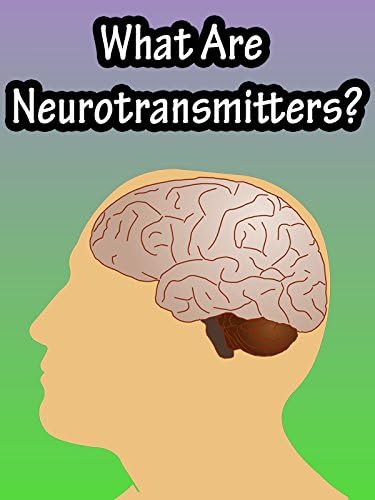 Pelicula ¿Qué son los neurotransmisores? Online