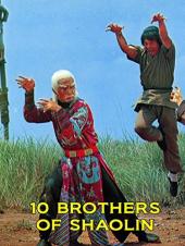 Ver Pelicula 10 hermanos de Shaolin Online