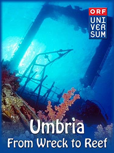 Pelicula Umbría - Desde el naufragio hasta el arrecife Online