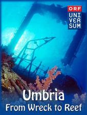 Ver Pelicula Umbría - Desde el naufragio hasta el arrecife Online
