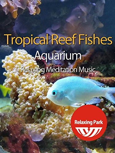 Pelicula Tropical Reef Fishes Aquarium & amp; Música de meditación relajante Online