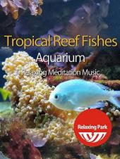 Ver Pelicula Tropical Reef Fishes Aquarium & amp; Música de meditación relajante Online
