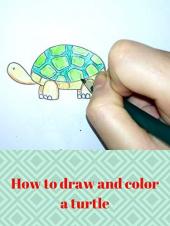 Ver Pelicula Cómo dibujar y colorear una tortuga. Online