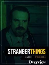 Ver Pelicula Stranger Things Temporada 1 Episodio 3 y 4 Resumen Online