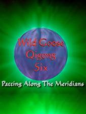 Ver Pelicula Wild Goose Qigong VI - Patting a lo largo de los meridianos con el Dr. Hu (remasterizado) Online