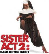 Ver Pelicula Sister Act 2: De vuelta en el hábito Online