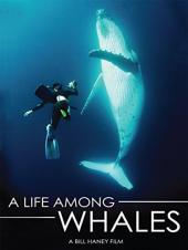 Ver Pelicula Una vida entre las ballenas Online