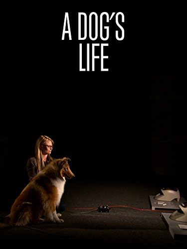 Pelicula La vida de un perro Online