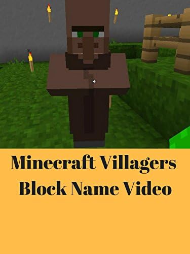Pelicula Minecraft Villagers Block Name Video Online